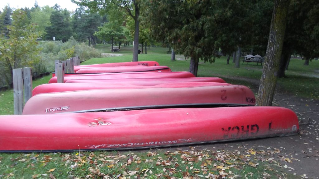 Boats for rent