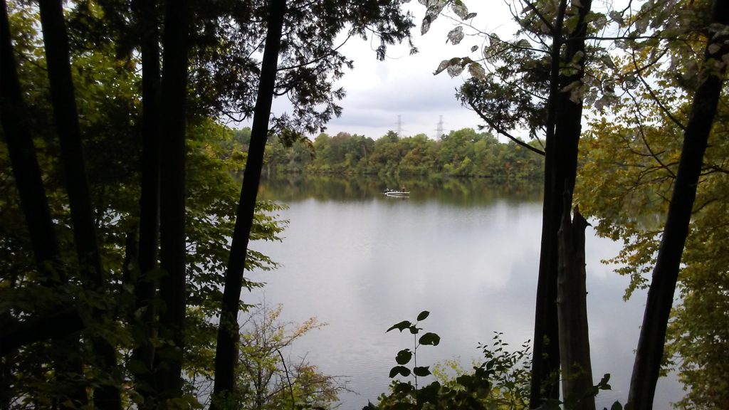 View from orange trail