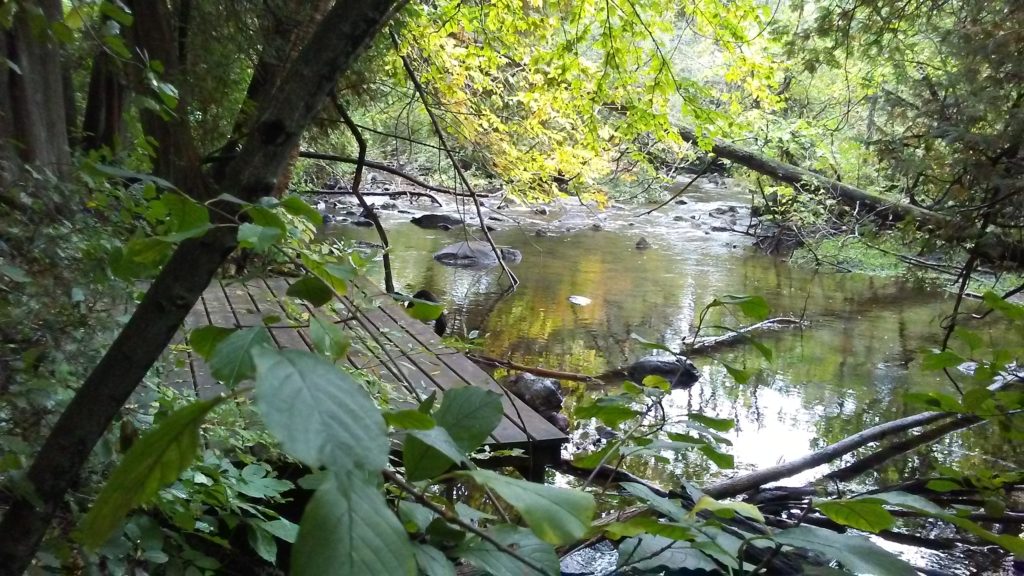 Hidden access to the river