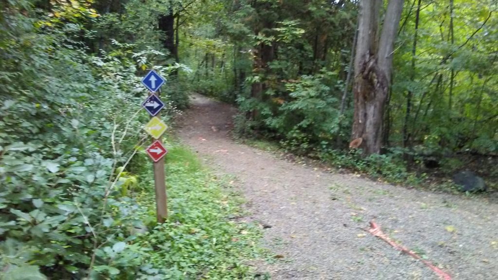 Four trails