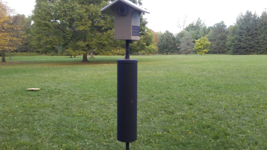 Nesting box with squirrel stopper