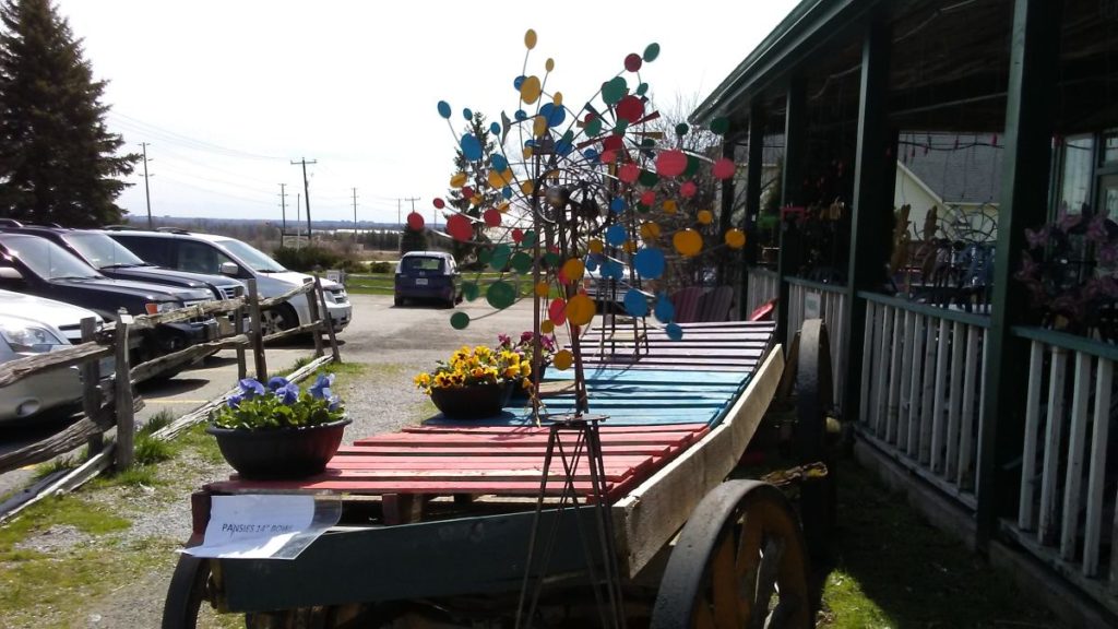 Lawn in front the store