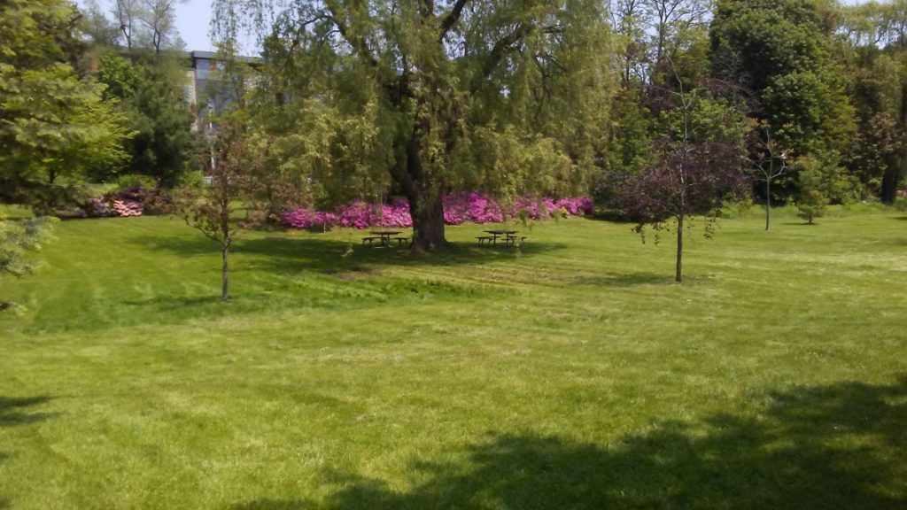 Picnic tables