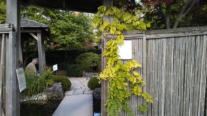 The David G. Porter Memorial Japanese Garden
