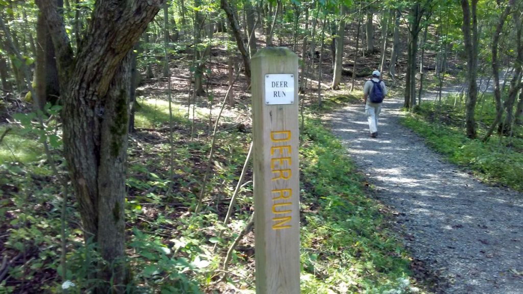 The trail entrance